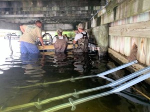 Seawall Repair Santa Rosa Beach Florida